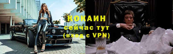 дмт Богородск