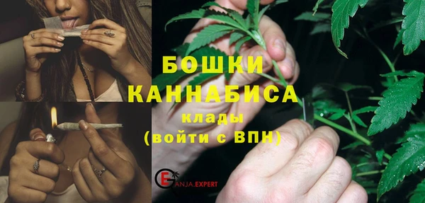 амф Бородино