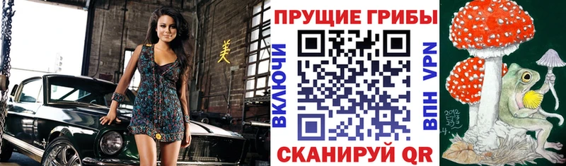 Галлюциногенные грибы мицелий Струнино